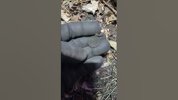 Классная монета. Полушка. Сохран отменный.  Nokta Triple Score3 #metaldetecting