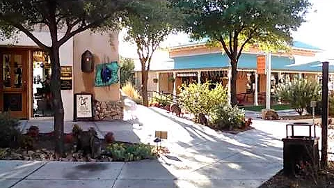 Dental office javelinas
