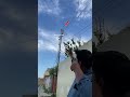 Slingshot Bird Challenge | 180° Aim Practice 😅🔥 #shorts #slingshot #hunting #birds #hunter #viral