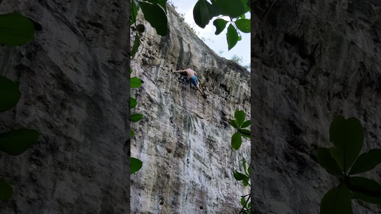 In Vino Veritas 8a, Cayman Islands 2022.12