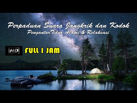 Mantap Hujan dan Petir disertai suara Kodok dan Jangkrik