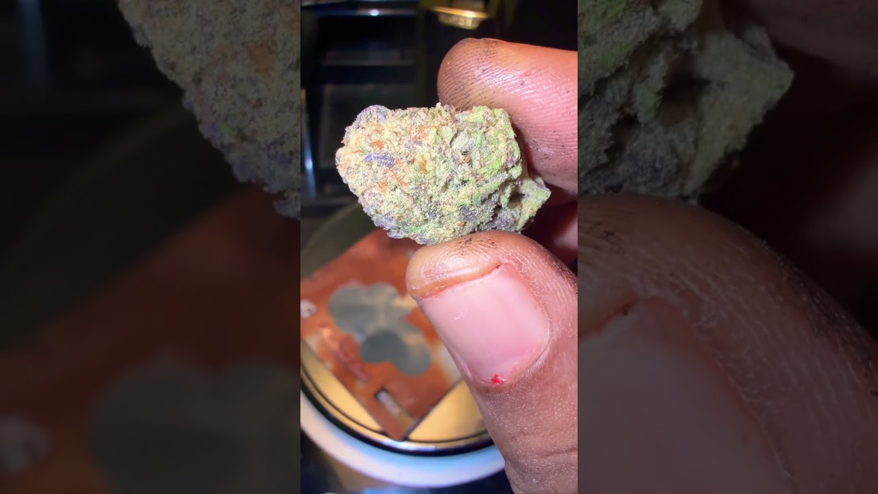 Platinum Kush THCA Flower from PotTed Canna Close Up