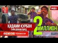 Кадами Курбон Туйи меснихора девона кард 2019