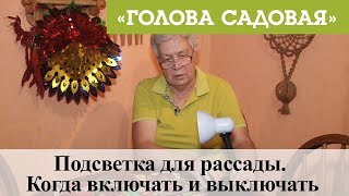 Голова садовая - Подсветка для рассады. Когда включать и выключать