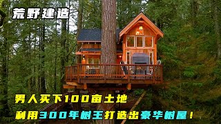 荒野建造：男人盘下100亩土地，利用300年树王打造出豪华树屋！