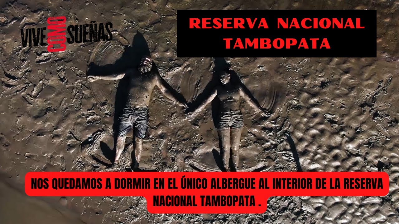 Nos quedamos a dormir en el único albergue al interior de la Reserva Nacional Tambopata .