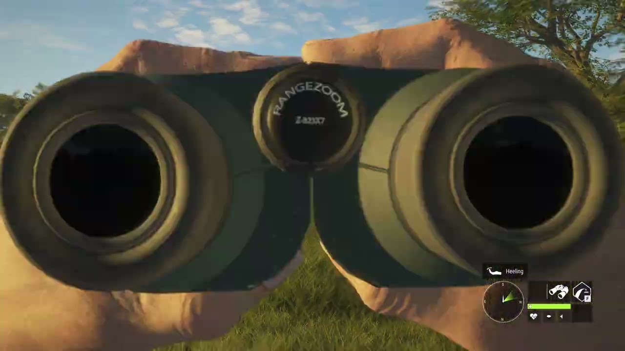 Springbok( with wrong rifle) then Lion shows up.!