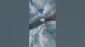 افلم يسيروا في الارض فتكون لهم قلوب يعقلون بها تلاوة القارئ ابو بكر الشاطري الحج {٤٦} #القرآن_الكريم
