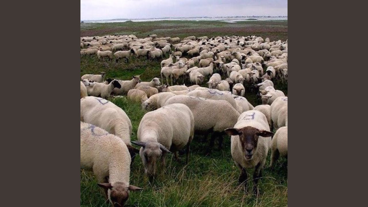 Watch Oracle on YouTube Watch Oracle on YouTube