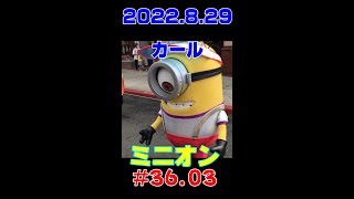 Hd第36回03Sミニオン カール