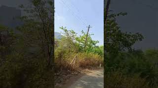 #yt#short#उन्हाळा #साँग #हे निसर्ग राजा तुझ्या खुशीत कितीर मज्जा