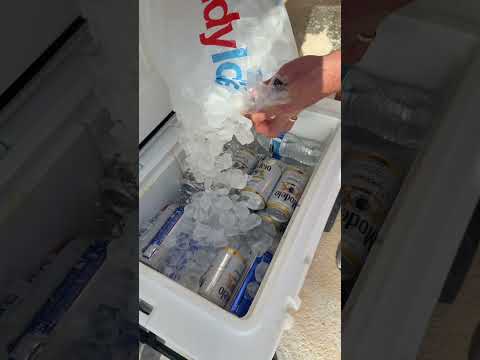 Bringing all the cozy Thanksgiving vibes to our home this year🍁🤎