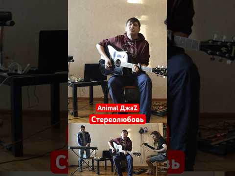 Лучшая кавер версия песни «стереолюбовь» #animalджаz #cover #coversong #питер #дреды #аккорды