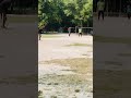 cricket lover 👍 #cricket #cricketlover #1mviewers #viral