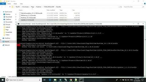 Pega Robotics Importing Bundles in Synchronization Server 19 1