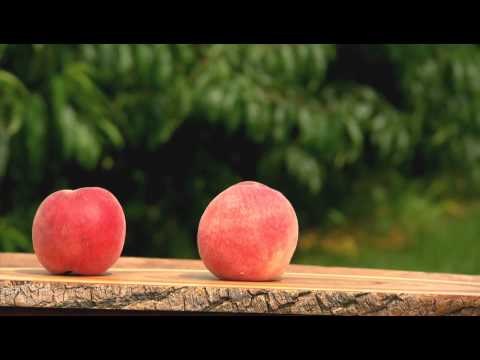 Video: Warum Sind Pfirsiche Nützlich?