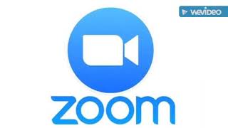 How to operate zoom app in meeting screenshot 5