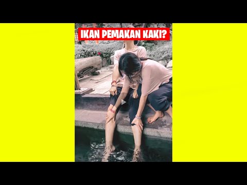 IKAN PEMAKAN DAGING!!!, KAKI HAMPIR PUTUS!!! #shorts