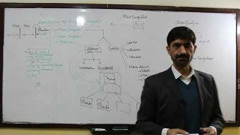 Micro, Mini and Mainframe Computers