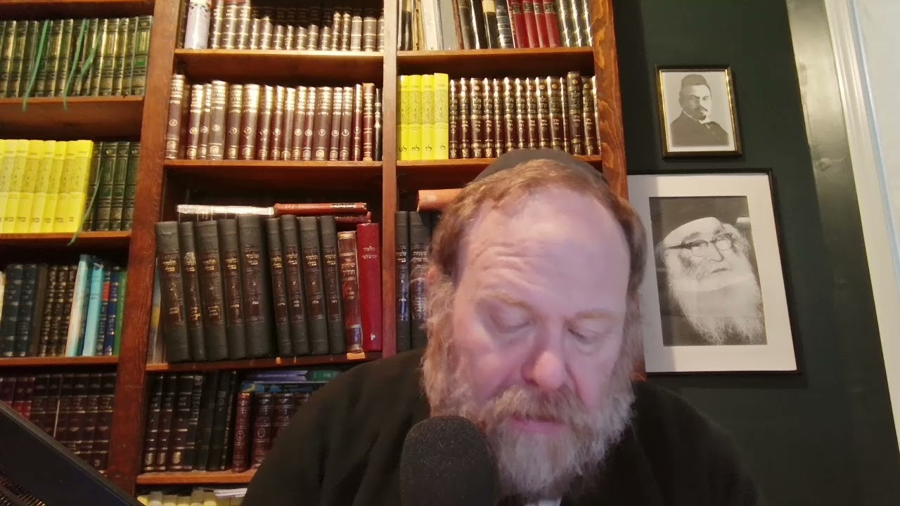 Arukh HaShulchan YD 54.13-17 Supplemental Day 374