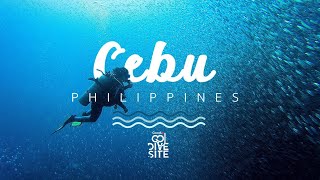 ดำน้ำ scuba ที่ Cebu Philippine