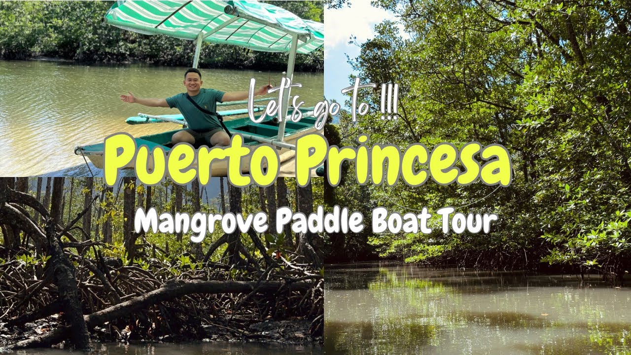 PUERTO PRINCESA PALAWAN : Mangrove Paddle Boat tour | Bakawan Tree | Solo Travel