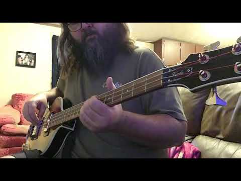 walk-softly-on-this-heart-of-mine--kentucky-headhunters-bass-guitar-cover-.