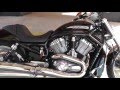 2004 V Rod Horsepower