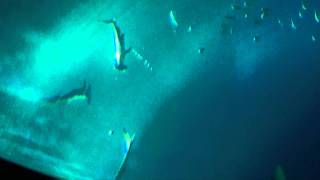 20110129201057 複製