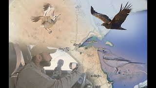 جولة لتصوير الطيور في بر الكويت