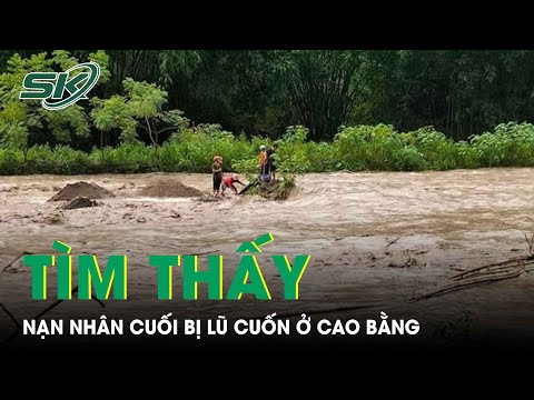 Video: Cách đối phó với kẻ nói dối bắt buộc: 15 bước (có hình ảnh)