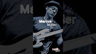 Marcus Miller Bajista #jazzmusicians #jazz #marcusmiller #funkyjazz learning jazz EDEMEE
