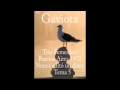 Trio Gaviota Tema 5