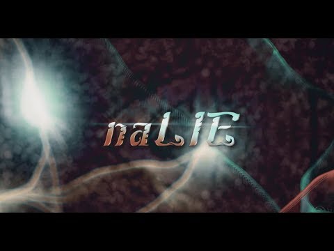 Bookiezz - naLIE (นารายณ์) Feat.เก่ง ธชย [OFFICIAL LYRIC VIDEO]