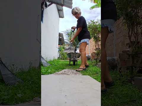 23 de março de 2026