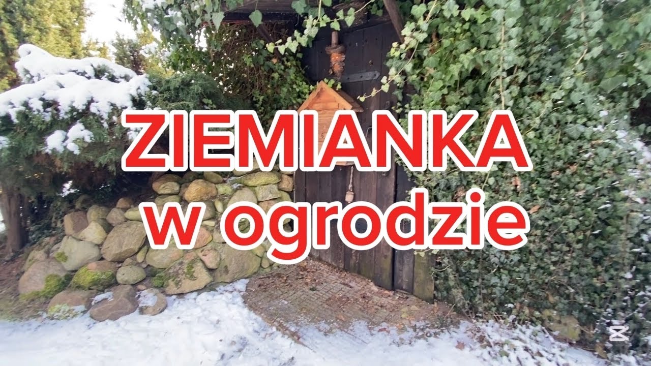 ZIEMIANKA. Czy warto ją mieć ? Kłopot, czy zaleta?