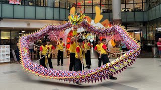 Dragon in mall