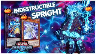 SPRIGHT DECK DUEL LINKS | INDESTRUCTIBLE SPRIGHT RANKED GAMEPLAY &amp; COMBOS