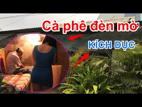 Video Công an dẹp khu 'tam giác' cà phê đèn mờ kích dục |... - youtube