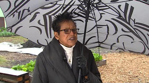 After the Black Panthers: The continuing revolution