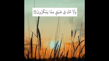 حالات واتس اب قران بصوت القارئ فارس عباد | تلاو خاشعة | وَاصْبِرْ وَمَا صَبْرُكَ إِلَّا بِاللَّهِ ۚ