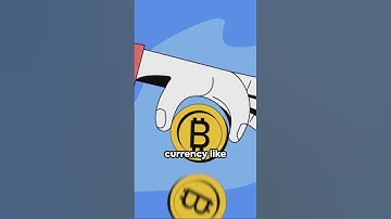 Crypto Wallets: A Beginner