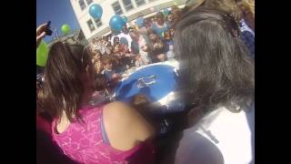 The 40th Annual Blueberry Arts Festival Preview