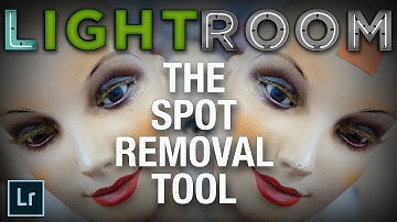 How to Use The Spot Removal Tool in Lightroom Classic