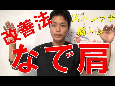 なで肩 の治し方 筋トレ ストレッチ 肩甲骨下方回旋タイプ Youtube