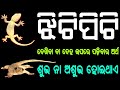 ଝିଟିପିଟି ଦେଖିବା ବା ଦେହ ଉପରେ ପଡ଼ିବାର ଅର୍ଥ ଶୁଭ ନା ଅଶୁଭ || jhitipiti upare padile kana hue || Sadhubani