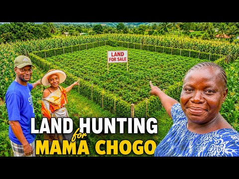 A New Hope for Mama Chogo ❤️🏡 Land Hunting, Outdoor Kitchen Makeover, Mahamri & Dream Home Progress