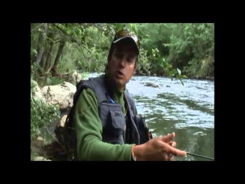 Joe Humphreys: Penn State's fly-fishing legend