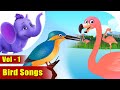 Bird Songs Vol 1| 4K | Appu Series