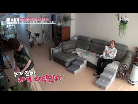 [선공개] ♨아내 분노♨ 육아엔 관심 없더니 강아지 유치 모아서 액자 만든다는 남편? ＂누가 진짜 자기 자식인지...＂ MBN 210508 방송